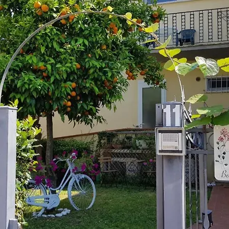Bed & Breakfast Noemi Pisa